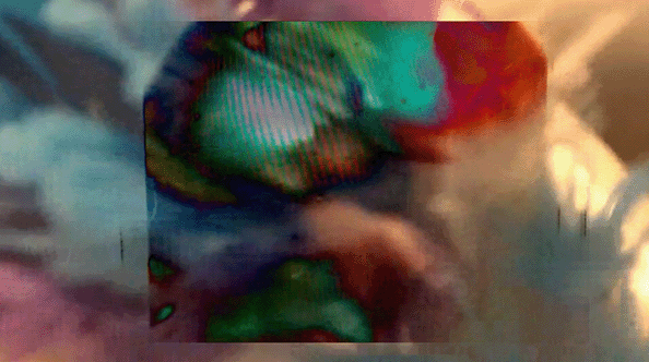 10082503