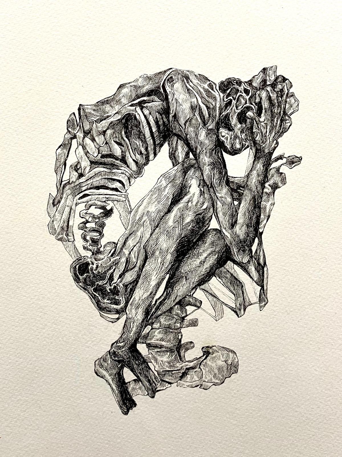 draw2401